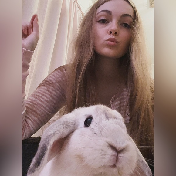 ellagattuso